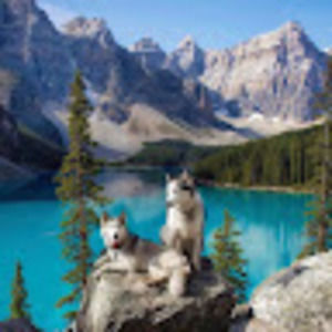 Meet your Posher, Petraq